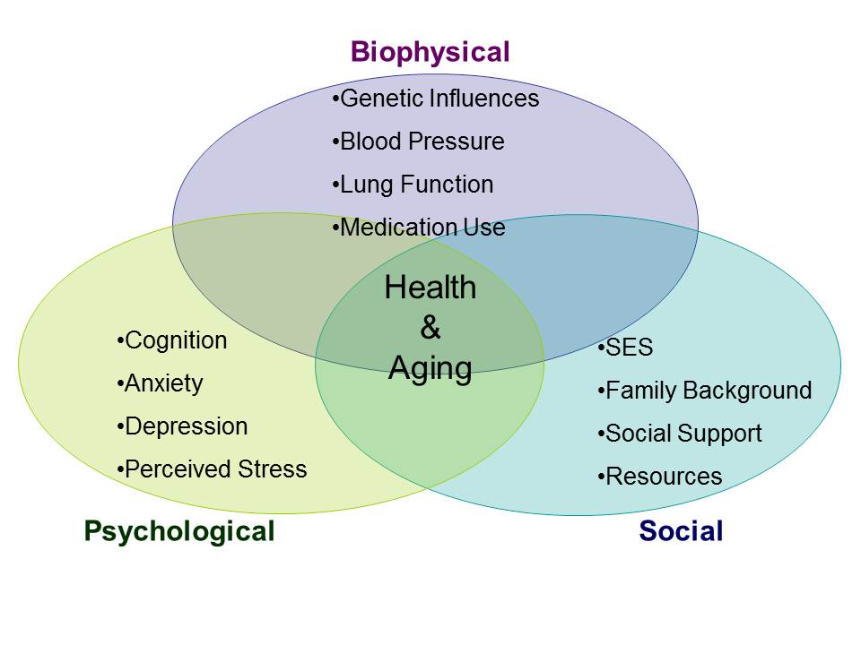 what is the biopsychosocial model example